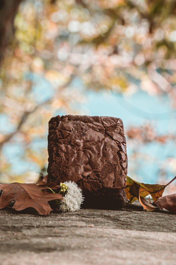 Cannabutter Chocolate Brownie